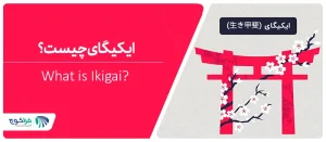ایکیگای چیست؟