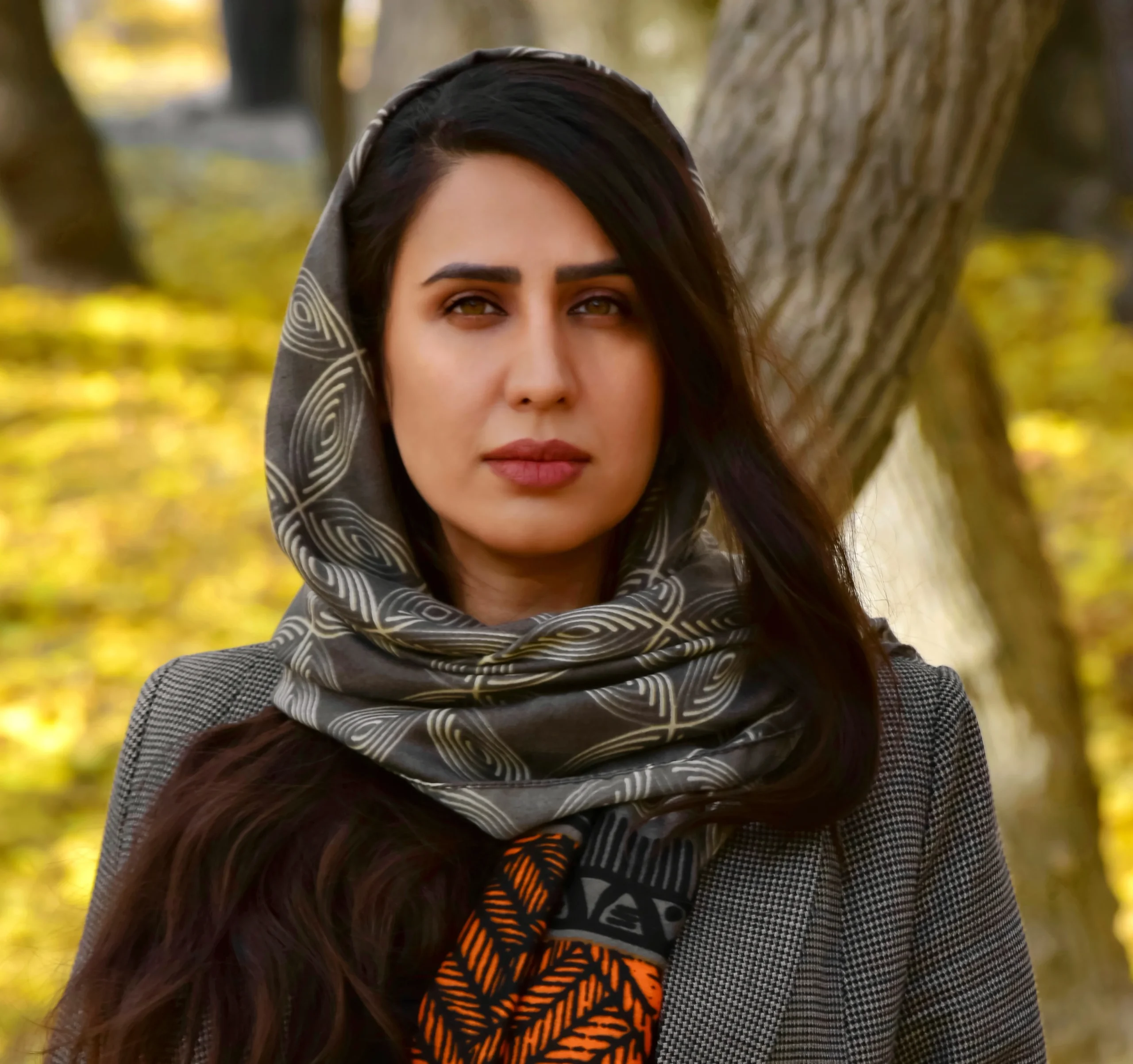 پرنیان پارسا